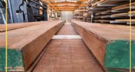 TAVOLE TEAK BURMA da 52 mm