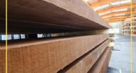 TAVOLE TEAK BURMA da 52 mm